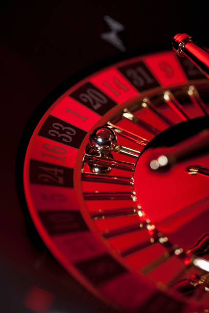 pintu6 Live Multiplier Line